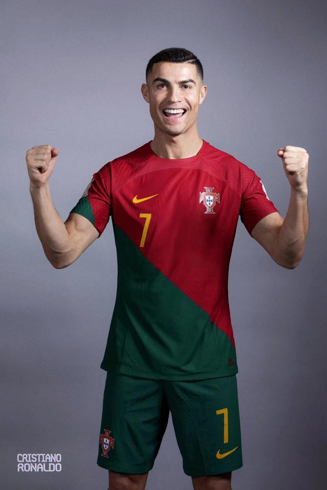 完美展示了 完美展示了